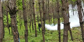 森林病虫灾害监测